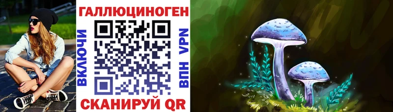 Галлюциногенные грибы прущие грибы  Новокубанск 